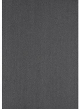 100 PREMIUM Einbanddeckel Leinenstruktur A4, 270g/m², 297 x 210 mm, Rückenkarton (Schwarz)