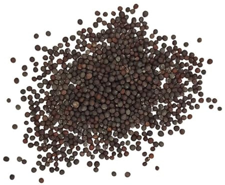 Moutarde brune graines 500 g | Graines de moutarde pour moutarde maison et recettes