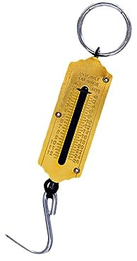 WRITWAA Tragbare Mechanische Hakenwaage 50 Kg Aus Umweltfreundlichem Material Mit Vertikaler Feder Handlich Für Küche Familie Und Outdoor Einsatz