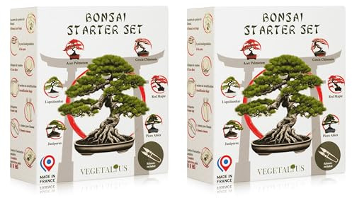 VEGETALIUS - Kit complet de 6 bonsaïs avec graines et accessoires x2 - Fabriqué en France - Une idée cadeau originale pour hommes et femmes pour votre maison ou votre jardin