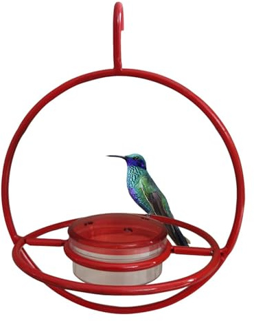 Alimentador para Colibríes | Distribuidor decorativo de metal para jardín,Alimentador de pájaros colgante para exteriores | para ardillas Tetas Jilgueros Ventana Árbol Jardín Patio