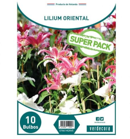 Verdecora Pack 10 bulbos Lilium Oriental - Flores para un Exuberante Jardín Fragante - Bulbos de primavera