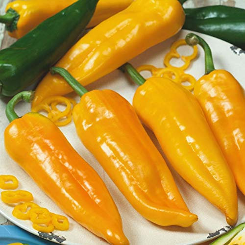Sweet Pepper - Long Yellow Bull Horn - 20 Seeds [Corno di Toro Giallo]