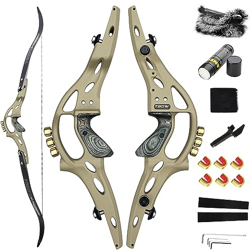 HNZMDY 62 ILF Takedown Recurve Bogen Set für Erwachsene 30-60lbs Jagdbogen mit ILF Bogen Griff und ILF Bogen Gliedmaßen Sportlicher Wettkampf Bogen Rechtshand (55lbs, Grau Grün Satz 1)