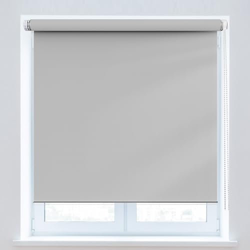 Verdunkelungsrollo 60 x 100 cm, Sichtschutz und Sonnenschutz Blickdicht, Verdunkelnd Wandmontage, mit Aluminium-Schienen, für Fenster und Tür, Hellgrau