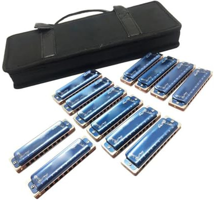 mundharmonika anfänger Diatonische Blues-Mundharmonika 12er-Set 10 Löcher Diatonische Blues-Harfe Mundharmonika-Set 12 Tasten(Blue)