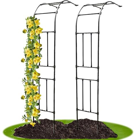 1 arche de jardin en métal robuste pour plantes grimpantes - 2,4 m x 2,4 m - En acier noir - Décoration de jardin