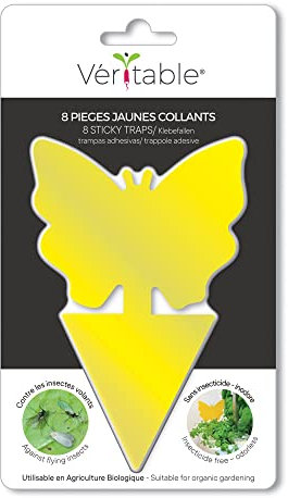 8 Pièges Jaunes Collants Contre Les Insectes - Moucherons, Thrips, Pucerons, Aleurodes et Autres Insectes Volants - Compatible Potager d'Intérieur Véritable®