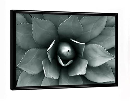 artboxONE Poster mit schwarzem Rahmen 18x13 cm Natur Agave blau-grün - Bild Agave Agave Blatt
