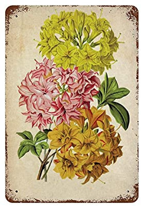 30 x 20 cm, Blumendekoration, Hyazinthen, Vintage-Dekoration, Blumen, Schild, Pflanzen, Schild, Garten, Wanddekoration, Naturbilder