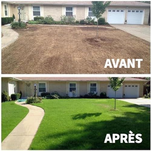 KyneLit Tappetino biodegradabile per piantine di erba, aiuta la crescita e la germinazione delle piante, isolamento termico, idratante, per esterni, prati e fertilizzanti (3 m x 0,2 m)