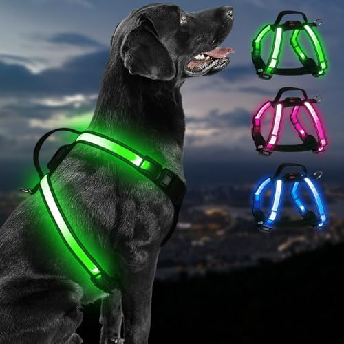 PZRLit LED Hundegeschirr Leuchtend USB Wiederaufladbar,7 Lichtmodi 3 Farben, Reflektierendes Leuchtgeschirr für Hunde,Wasserdichtes Sicherheitsgeschirr für Kleine Mittel Große Hunde im Dunkeln-Riesig