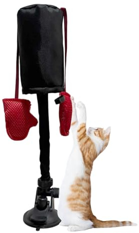 YNPQTDS Katzen-Boxsack-Spielzeug – Katzenbox-Spiel-Teaser-Spiel – mit Saugnapf, Haustier-Spiel-Übung, Teasing-Aktivität für Balkon, Wohnzimmer, Hinterhof, Bauernhaus, Garten