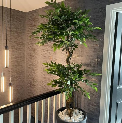 Leaf Design UK Artificial Evergreen Large Trees,150cm Large Twisted Ficus,150cm