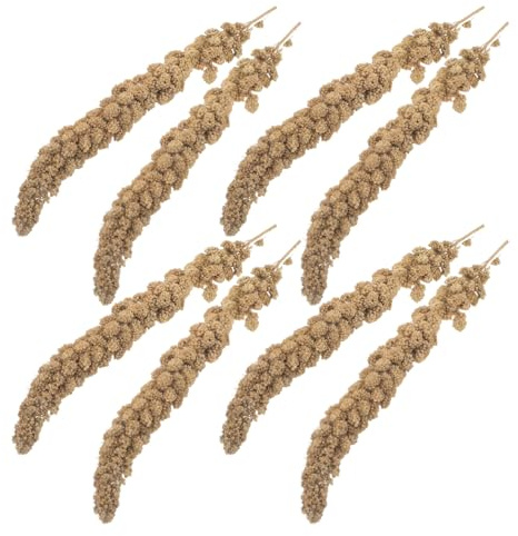 Yardwe Getrocknete Hirse für Papageien Wellensittiche – 500g Natürlicher Vogelsnack für Nymphensittiche Finken Kleintiere Nährstoffreiche Leckerlis zum Aufhängen im Vogelkäfig