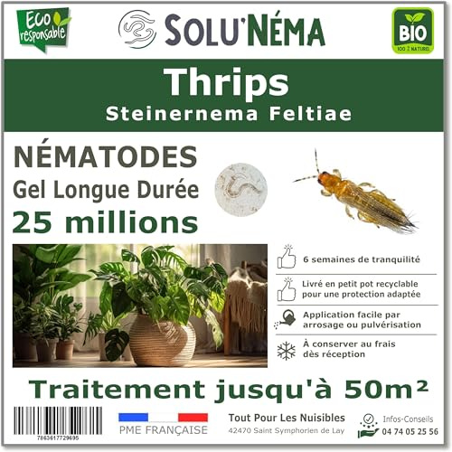 SOLUNEMA - Nématodes Contre les Thrips 25 Millions Longue Durée