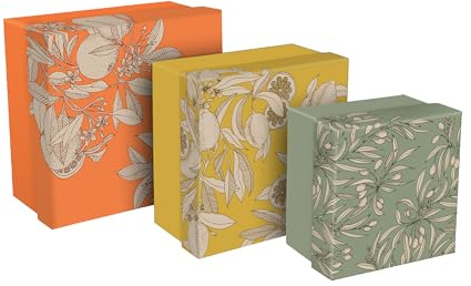 Clairefontaine 116359C - Lot 3 Boites Gigognes Jardin des Sens - Carton