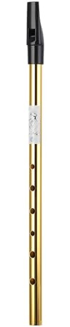 6 Löcher Irish Tin Whistle Clear Sound Wind Musical Genaue Stimmpfeife Flöte für Anfänger (C Melodie)