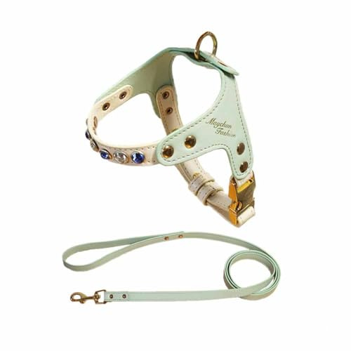 feiling Kleine Hunde Ledergeschirr PU Leder Hundegeschirr Katzengeschirr mit 1.2M Hundeleine Welpen Brustgeschirr Verstellbar Geschirr (grün, S)
