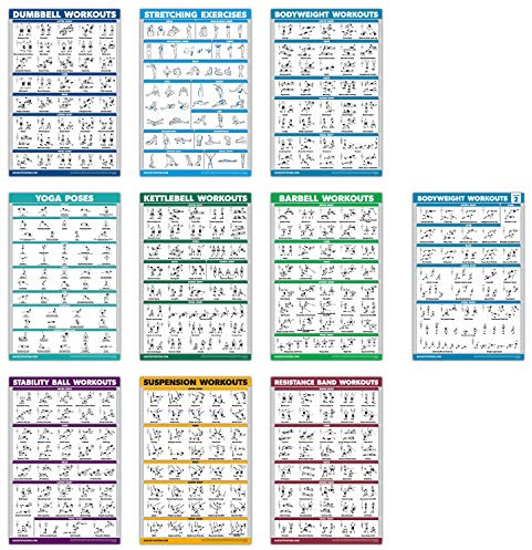 QUICKFIT - Juego de 10 pósteres de entrenamiento de ejercicio – Volumen 1 y 2, mancuernas, suspensión, pesas rusas, bandas de resistencia, estiramiento, barra, posturas de yoga, pelota de ejercicio