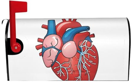 Human Anatomy Heart Chart Print Mailbox Cover Durable Oxford Cloth for American Standard & Large Size Mailboxes