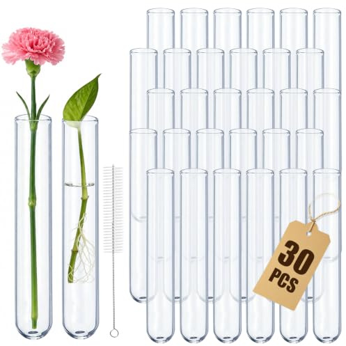 Idota 30 Stück Reagenzgläser Glas mit Reinigungsbürste Borosilikatglas Rundboden Reagenzglas Vase für Blumen DIY-Handwerk Hydrokultur Pflanzen (20 * 150mm)