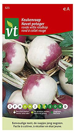 Turnip Round with Red Collar Seeds per gram - 6 g - Seeds per gram: 600
