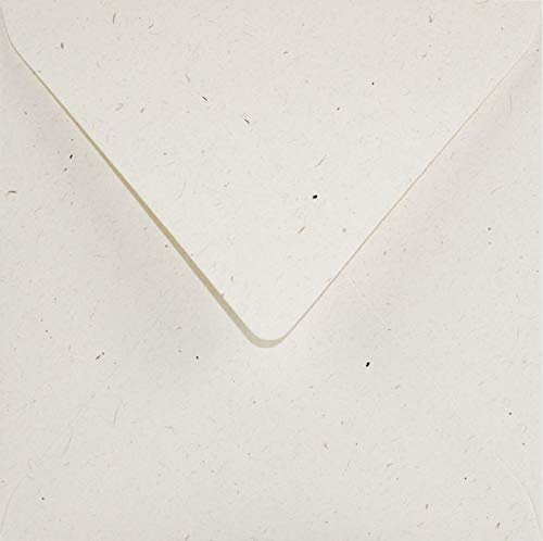 Netuno 25 Umschläge Creme quadratisch 15,5x15,5 cm natürlich und hochwertig | 130g Flora Giglio · stilvolle cremefarbene Umschläge Naturpapier für Hochzeit, Taufe, Kommunion, Konfirmation & Jubiläum