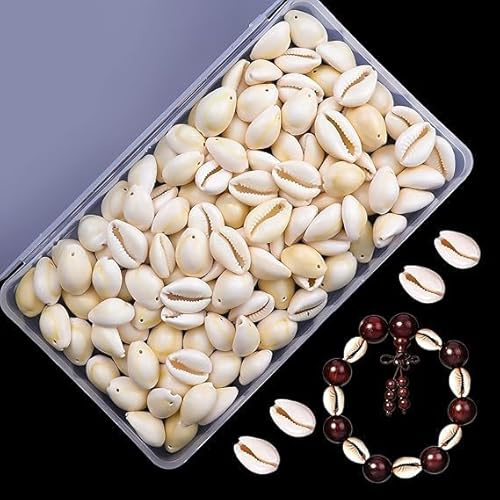 17 Bis 21mm Kauri Muscheln, Natürlichen Muschel Perlen mit Loch 120 Stk | GZLFH Muscheln zum Basteln Diy Schmuck Machen Oder Deco Handwerk(Boxed)
