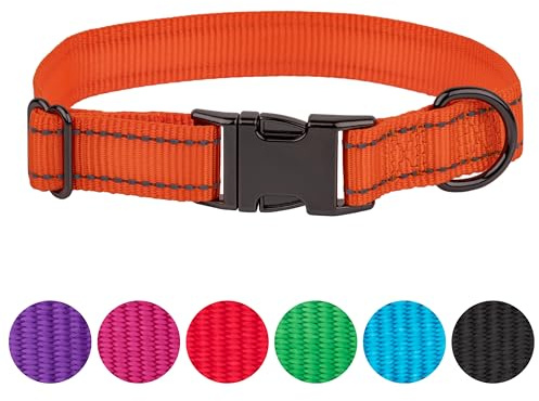 FAVPET Nylonhalsband för hundar – hundhalsband för valpar små, medelstora och stora hundar – hundhalsband med robust metallstängning – reflekterande halsband för hundar (orange, M)