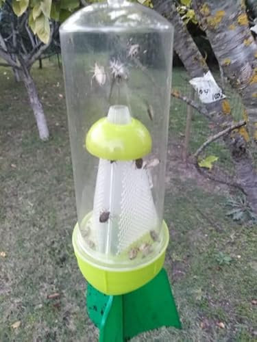 Trappola ecologica cimici asiatiche +2 attrattivo feromoni Kit Diablex