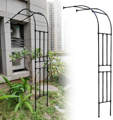 Arche de jardin en métal - Arche murale - Pour plantes grimpantes - Demi-arche en acier - 0,63 m de large - Design noir élégant - 120 x 240 cm (l x H)