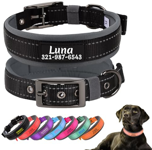 Personalisierter Nylon‑Hundehalsband,Schnalle,Neopren‑Polsterung,Schwarz | Individuell gravierter Name & Telefon;reflektierende Nähte,robust,weiche Neopren‑Polsterung,einstellbar für alle Hundegrößen