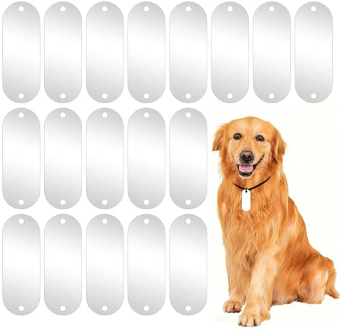 25 stycken silver perforerade blanka hundbrickor, av rostfritt stål, råämnen hundetiketter, gravyr, råämnen hundmärke, nyckelring för gravering, hundmärken, råämnen silver, hundbricka för