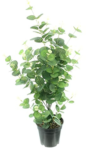 FRANK FLECHTWAREN Eukalyptus Pflanze, Kunstpflanze, Topfpflanze Höhe ca. 65 cm