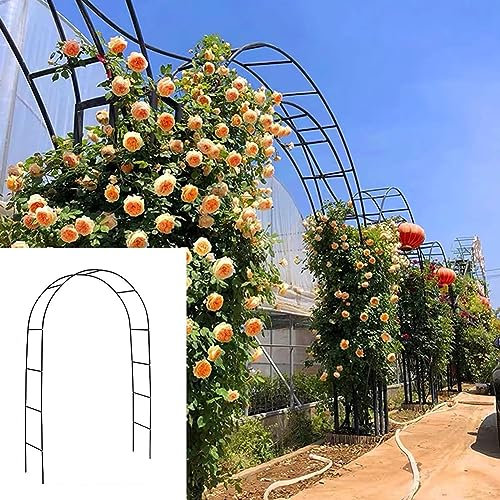 SEVSO Gartenbogen Rankhilfe Rosenbogen 240Cm 180Cm 140Cm 120Cm Breit Alle Rankpflanzen Rankbogen Spalier,Grün,W1.8M*H2.2M