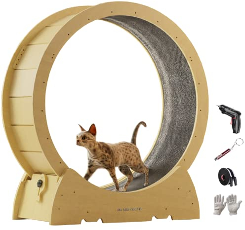 Großes Katzenlaufrad, Katzenlaufband, Katzenlaufrad mit geräuschloser Bewegung, Aktivitätsspielzeug für Katzen, Katze interaktiv, Gewichtskontrolle für Katzen (XL, geeignet für 7 kg und mehr)