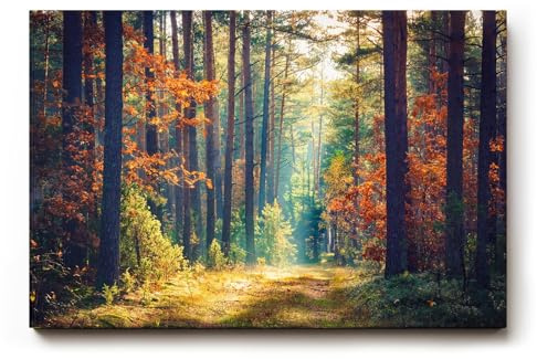 Sinus Art Wandbild 90x60cm Waldweg durch herbstlich gefärbten Wald mit Lichtspiel für gemütliche Raumwirkung