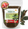 Garten Lux Ficus Tierra 4L – 6 en 1 tierra especial sin turba – contra mosquitos llorones – para Ficus Benjamina, elastica, lyrata, pumila, carica, microcarpa, Alii, benghalensis y más