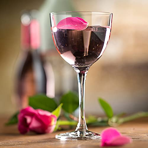 Nude Refine Nick & Nora - Vasos de 6 onzas, 170 ml, 6 unidades, copas de cóctel, copas de Martini