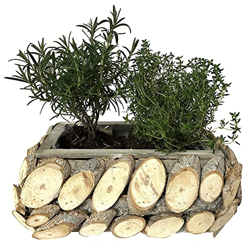 OF Kiste aus Holzscheiben zum Bepflanzen für Blumen und Kräuter - Blumentopf, Blumenkasten, Pflanzkübel P33