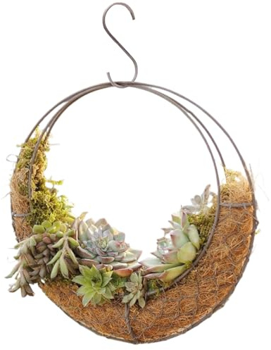 CNAFGBGG 1PC Hanging Moon Planter Round Iron Moon Planter Ventilated Wire Planter Basket with Hook DIY Decorative 11x3.5x11in Hanging Planter for Succulent