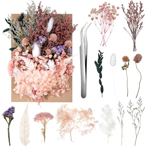 Real Dried Flowers, Natural Dry Flowers Mixed Natural Pressed Flowers Flores Secas Dried Florals for Crafts,Resin,Candle Making (Multicolor 2)