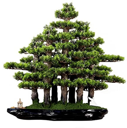 Plantes artificielles bonsaï de pin Artificiel, Simulation de pin et de cyprès, Fausse Mousse en Pot, Plantes de Bureau artificielles, décorations de Bureau d'intérieur, Plantes artificielles en