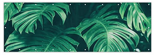 MuchoWow® Balkon Sichtschutz Sichtschutzmatte Balkonbanner Abdeckung für Terrasse Balkon Windschutz Blickdicht Wetterfest 300x100 cm Monstera - Blätter - Pflanzen - Dschungel - Natur