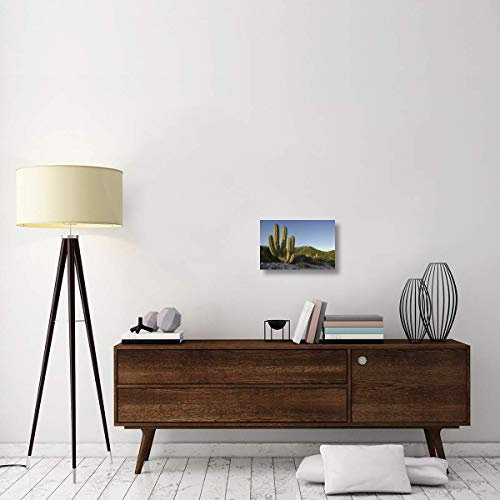 Global Gallery Lienzo Decorativo Gigante con Cactus de Santa Catalina Island, Mar de Cortez, Baja California, México, 45,7 x 30,5 cm