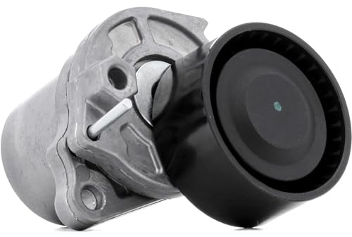 STARK SKTP-0600314 Rullo tenditore cinghia Poly-V Compatibilità con RENAULT Megane 3 Hatchback BZ0/1