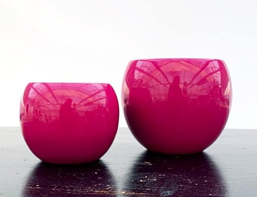POWERS TO FLOWERS - SET 2 VASI SFERICI FUCSIA, VASI IN CERAMICA + PIANTA OMAGGIO