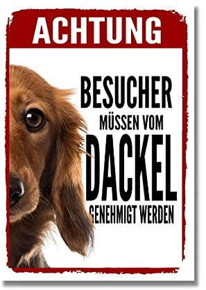 siviwonder Dackel 1 Genehmigung Teckel Schild Warnschild Hundeschild 20 cm x 14 cm x 0.3 cm Aluminium