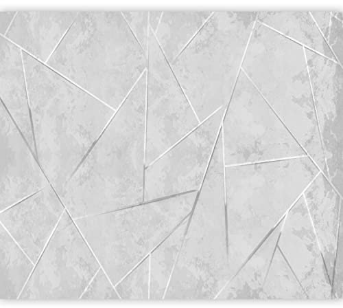 murando PREMIUM Fotomurales Concreto 350x256 cm Papel pintado tejido no tejido Decoración de Pared decorativos Murales moderna de Diseno Fotográfico Abstracto geométrico gris a-C-10006-a-a